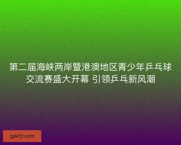第二届海峡两岸暨港澳地区青少年乒乓球交流赛盛大开幕 引领乒乓新风潮