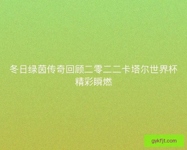 冬日绿茵传奇回顾二零二二卡塔尔世界杯精彩瞬燃