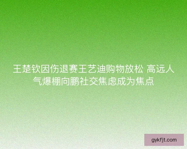 王楚钦因伤退赛王艺迪购物放松 高远人气爆棚向鹏社交焦虑成为焦点